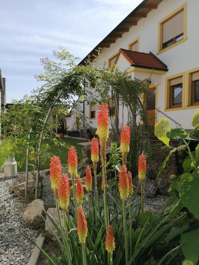 Hotel Nationalparkhof Gartner Weingut-Gastehaus Illmitz Esterno foto