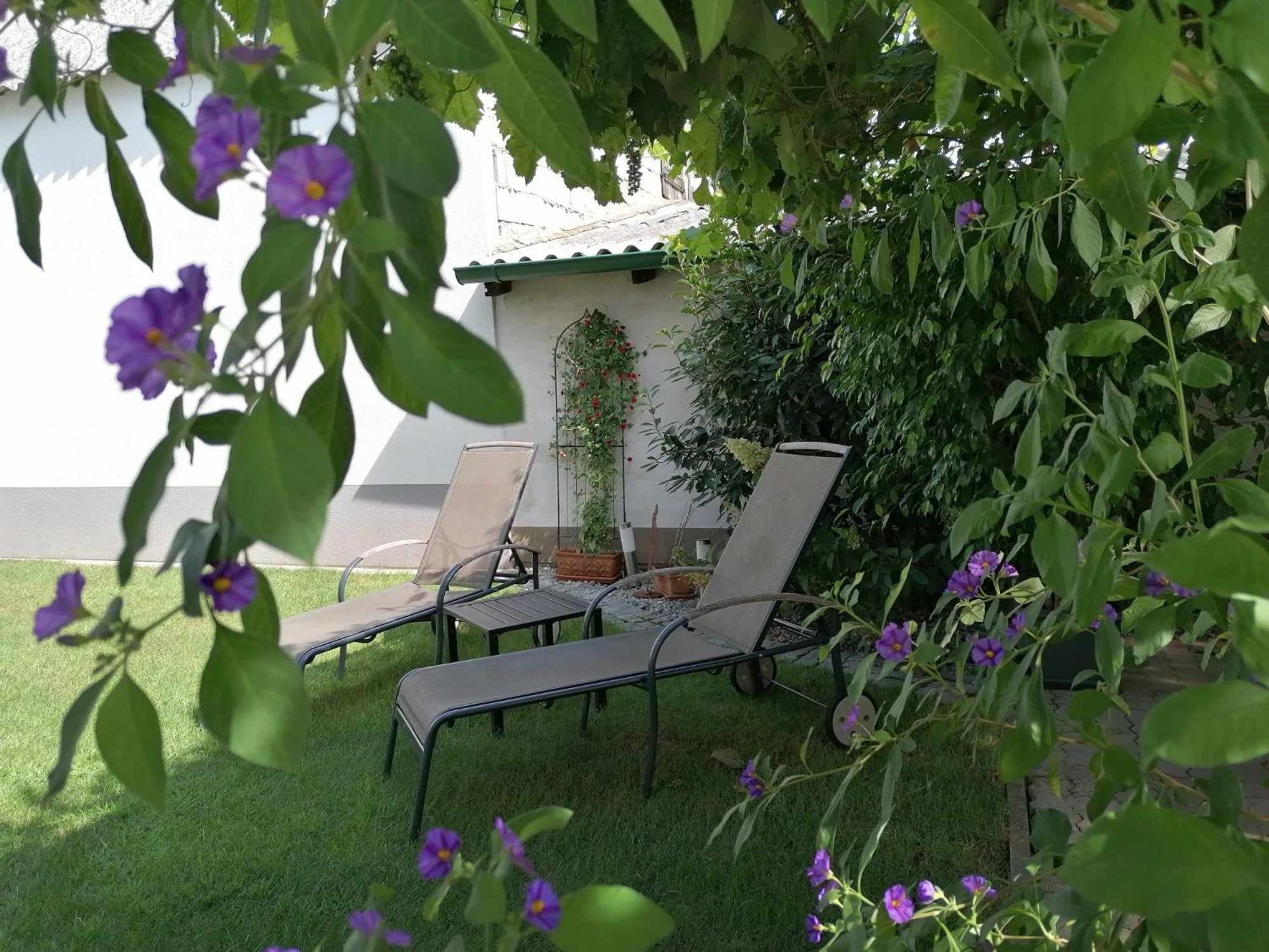 Hotel Nationalparkhof Gartner Weingut-Gastehaus Illmitz Esterno foto